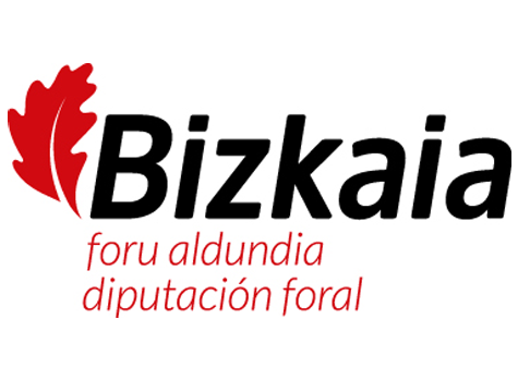 Bizkaia Foru Aldundia / Diputación Foral